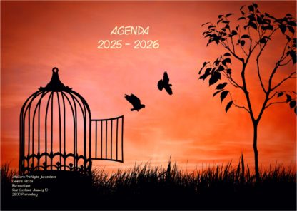 Agenda n° 41 Annuel ou Scolaire