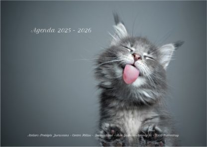 Agenda n° 42 Annuel ou Scolaire