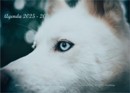 Agenda n° 54 Annuel ou Scolaire