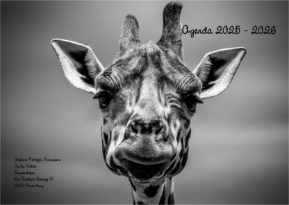 Agenda n° 56 Annuel ou Scolaire