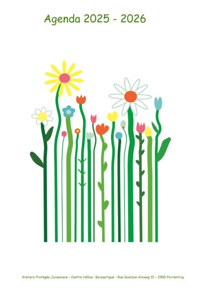 Agenda n° 6 Annuel ou Scolaire
