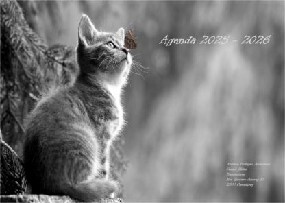 Agenda n° 70 Annuel ou Scolaire