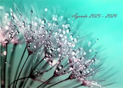 Agenda n° 71 Annuel ou Scolaire
