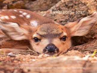 Agenda n° 18 Annuel ou Scolaire