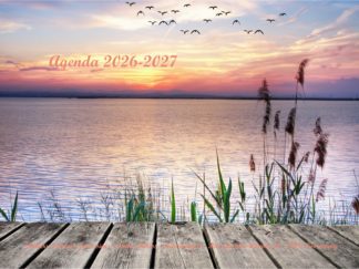 Agenda n° 35 Annuel ou Scolaire