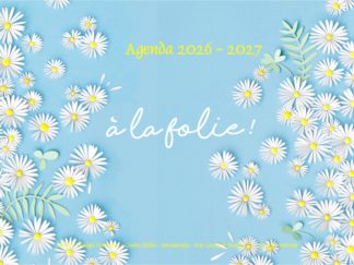 Agenda n° 63 Annuel ou Scolaire