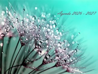 Agenda n° 71 Annuel ou Scolaire