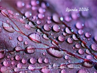 Agenda n° 20 Annuel ou Scolaire
