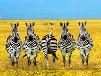 Agenda n° 30 Annuel ou Scolaire