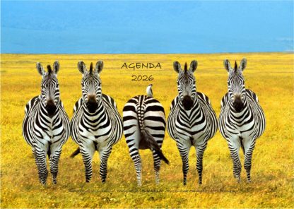 Agenda n° 30 Annuel ou Scolaire