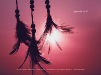 Agenda n° 31 Annuel ou Scolaire