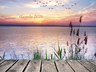 Agenda n° 35 Annuel ou Scolaire