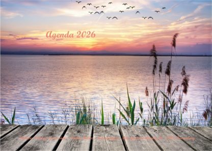 Agenda n° 35 Annuel ou Scolaire