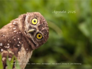 Agenda n° 39 Annuel ou Scolaire