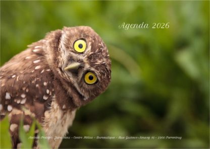 Agenda n° 39 Annuel ou Scolaire