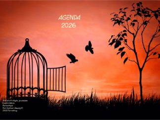 Agenda n° 41 Annuel ou Scolaire