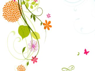 Agenda n° 47 Annuel ou Scolaire