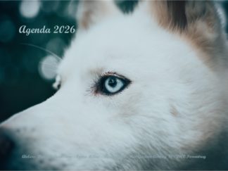 Agenda n° 54 Annuel ou Scolaire
