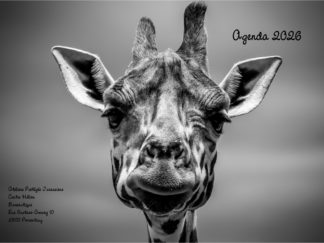 Agenda n° 56 Annuel ou Scolaire