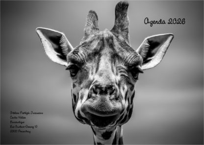 Agenda n° 56 Annuel ou Scolaire