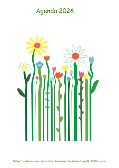 Agenda n° 6 Annuel ou Scolaire