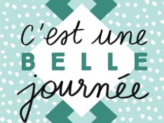 Agenda n° 61 Annuel ou Scolaire