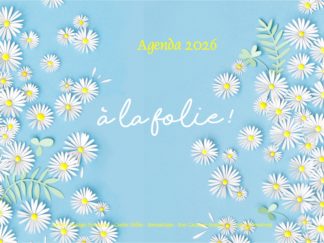 Agenda n° 63 Annuel ou Scolaire