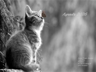 Agenda n° 70 Annuel ou Scolaire
