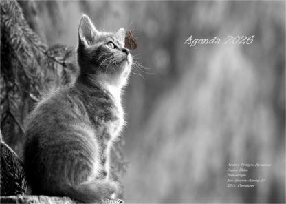 Agenda n° 70 Annuel ou Scolaire