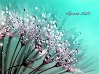 Agenda n° 71 Annuel ou Scolaire