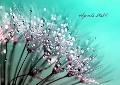 Agenda n° 71 Annuel ou Scolaire