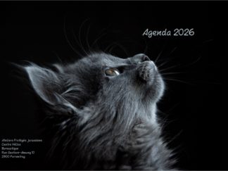 Agenda n° 74 Annuel ou Scolaire