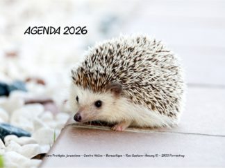Agenda n° 75 Annuel ou Scolaire