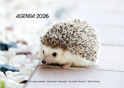 Agenda n° 75 Annuel ou Scolaire