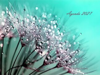 Agenda n° 71 Annuel ou Scolaire
