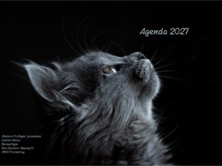 Agenda n° 74 Annuel ou Scolaire