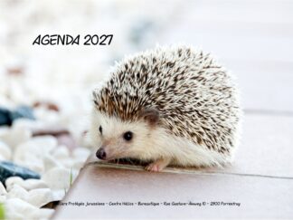 Agenda n° 75 Annuel ou Scolaire